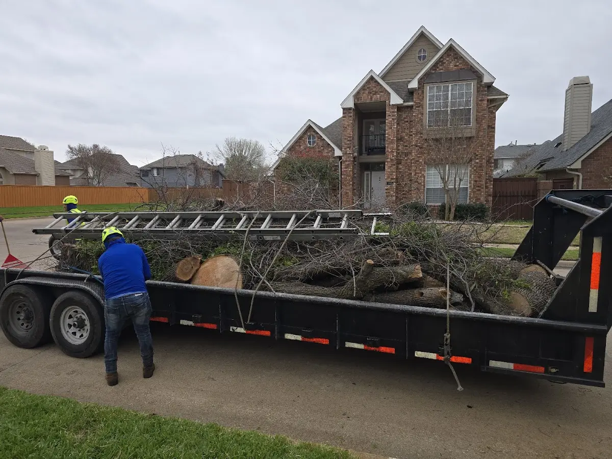 Expert Crown Reduction with proper safety equipment in Riverton